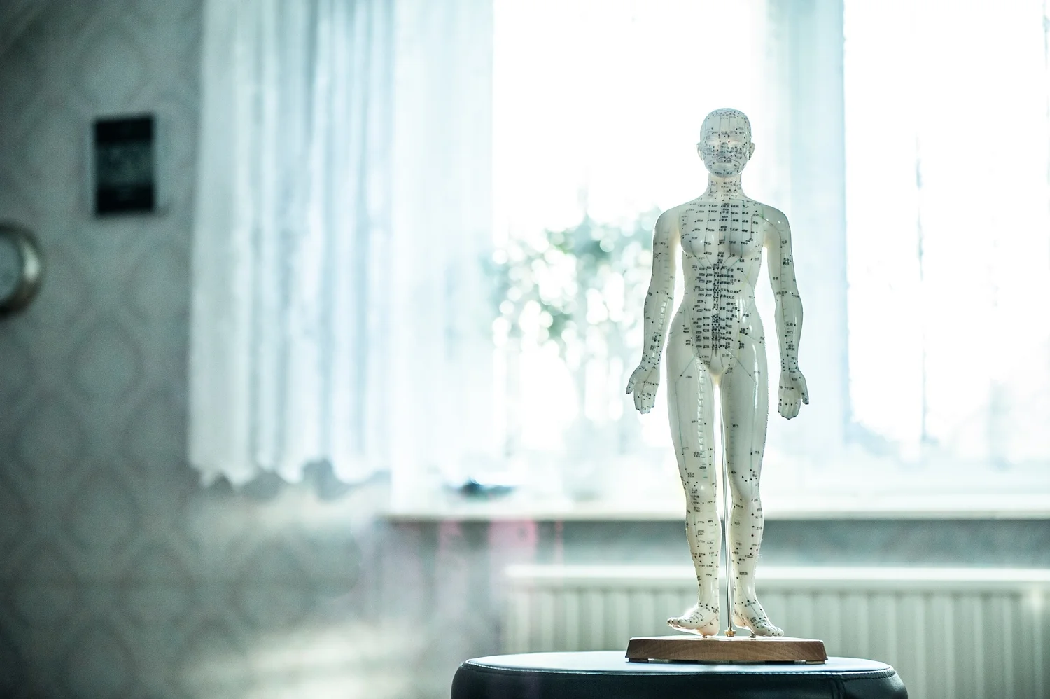 Inside Coburg Chinese Medicine