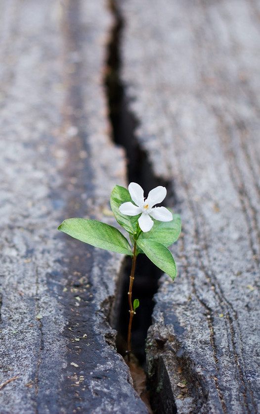 Inside Embrace Wellness Consultancy