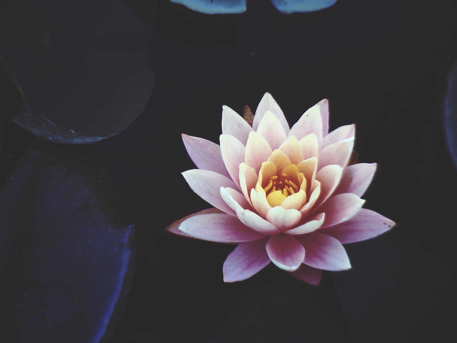 Inside Mindful Wellbeing Psychology