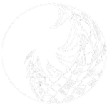 Inside Oyster Shells & Dragon Bone