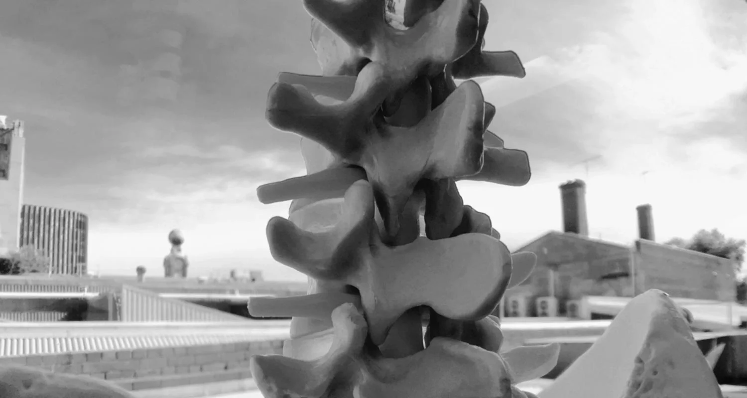 Richmond Rehab home page hero — an anatomical spine model against the Richmond rooftops